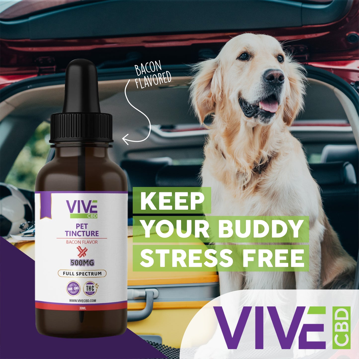 A serene scene featuring a calm dog next to various CBD products in a lush, green environment.