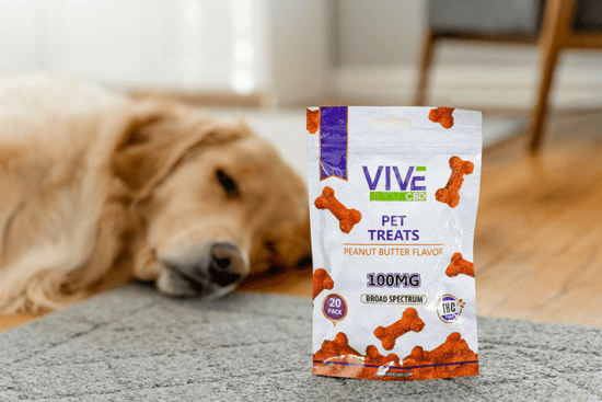 CBD Pet Products: Tinctures, Treats