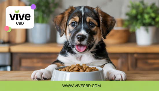A happy puppy eating organic food in a kitchen with wooden countertops and plants, featuring a Vive CBD logo and website URL.