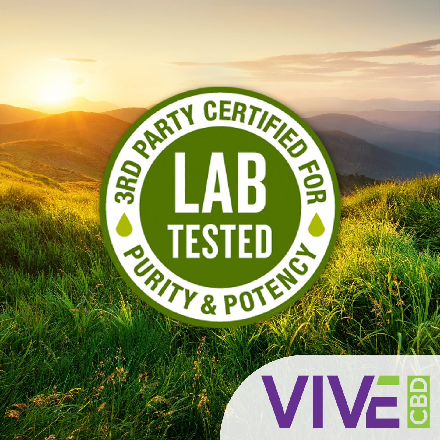 A serene arrangement of CBD products including honey sticks, roll-ons, pet tinctures, and gummies set against a lush hemp field backdrop.
