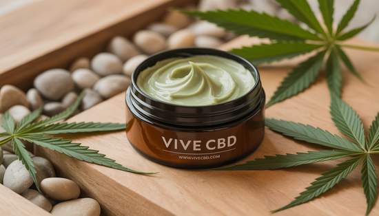 A luxurious jar of hemp body cream on a wooden surface, surrounded by small stones, with www.vivecbd.com at the bottom, showcasing a natural, eco-friendly skincare product.