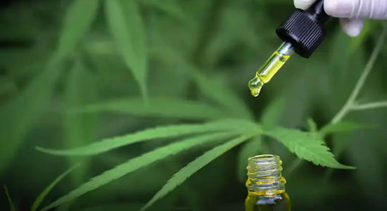 What is CBD Used For?