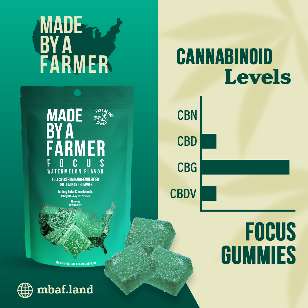 Focus All Natural Gummies