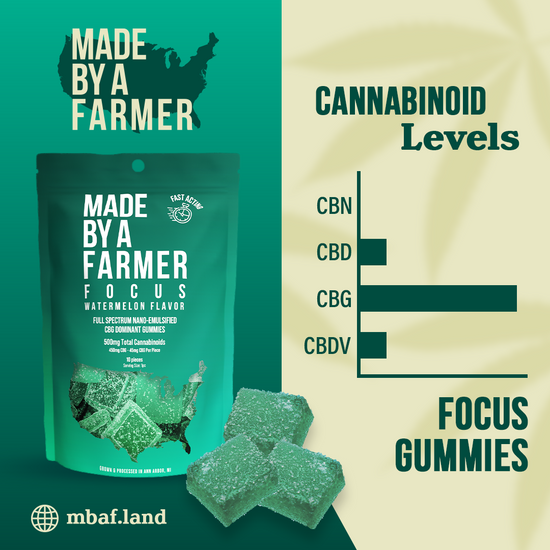Focus All Natural Gummies